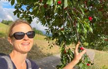 self guided walking tour in alsace france